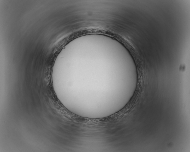 X0000112101015200908041108