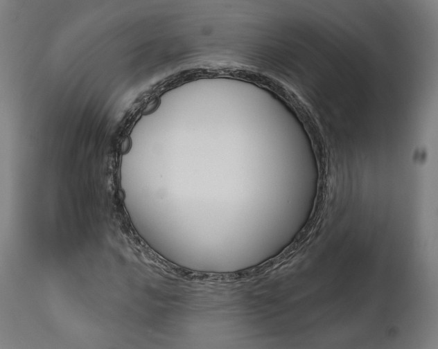 X0000112101016200908041108