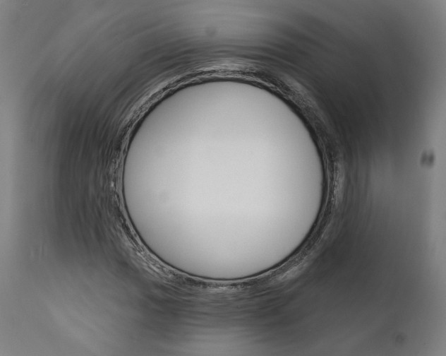 X0000112101017200908041108