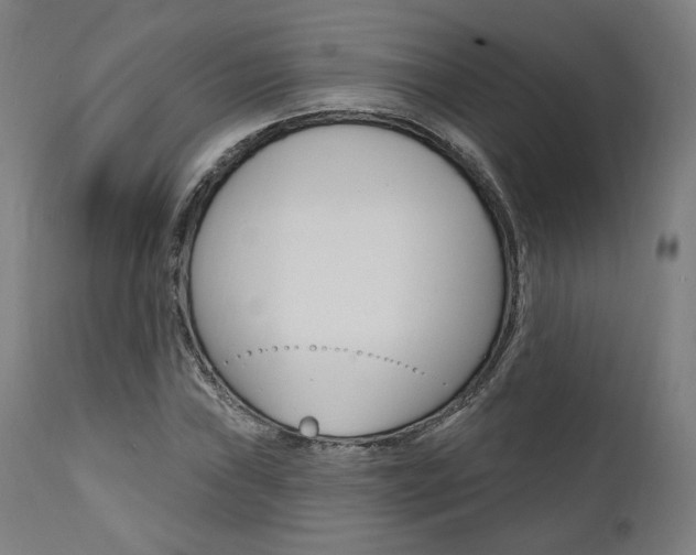 X0000112101019200908041108