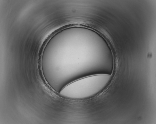 X0000112101020200908041108