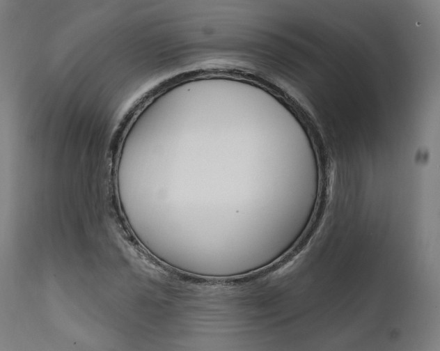 X0000112101021200908041108