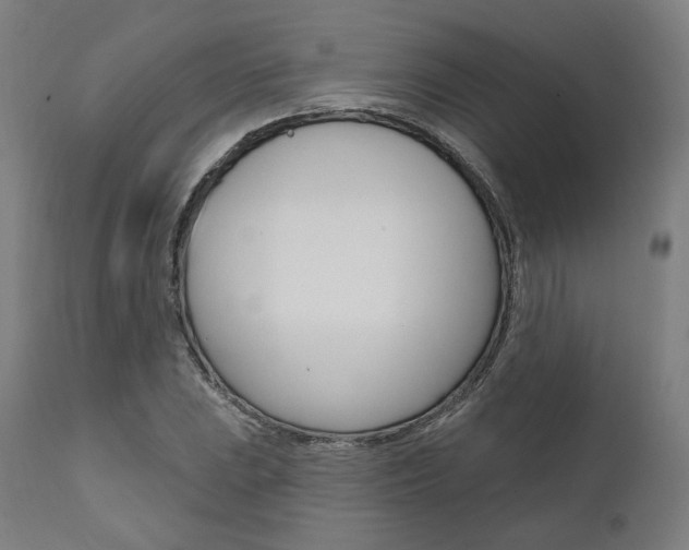 X0000112101023200908041108