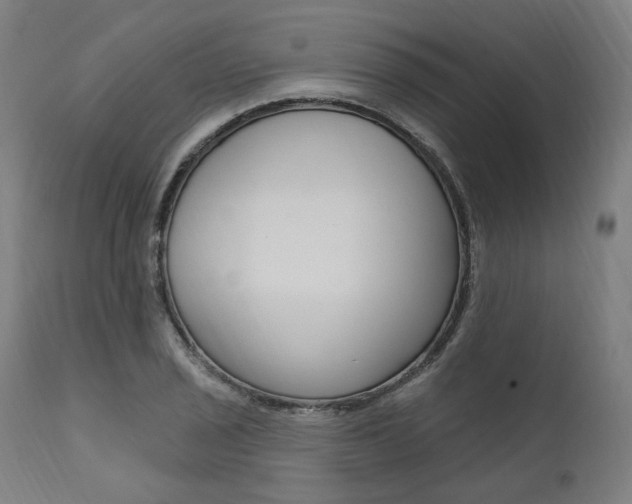 X0000112101029200908041108