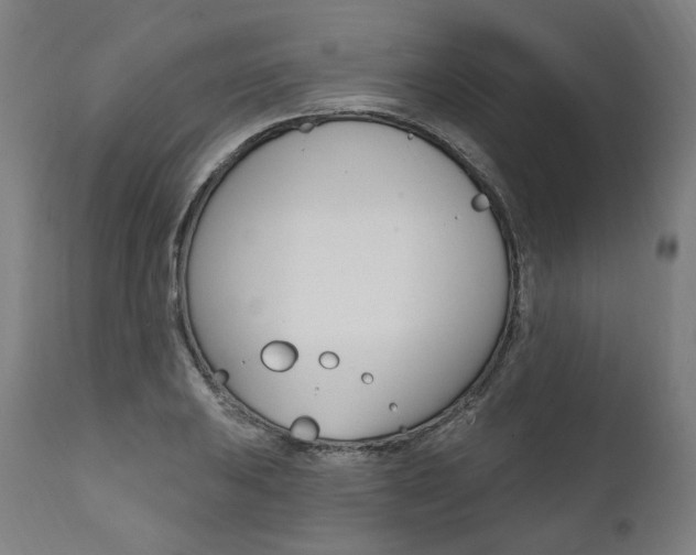 X0000112101031200908041108