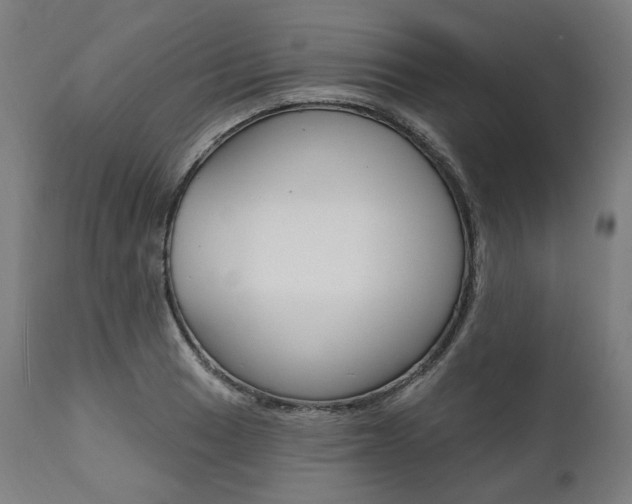 X0000112101033200908041108