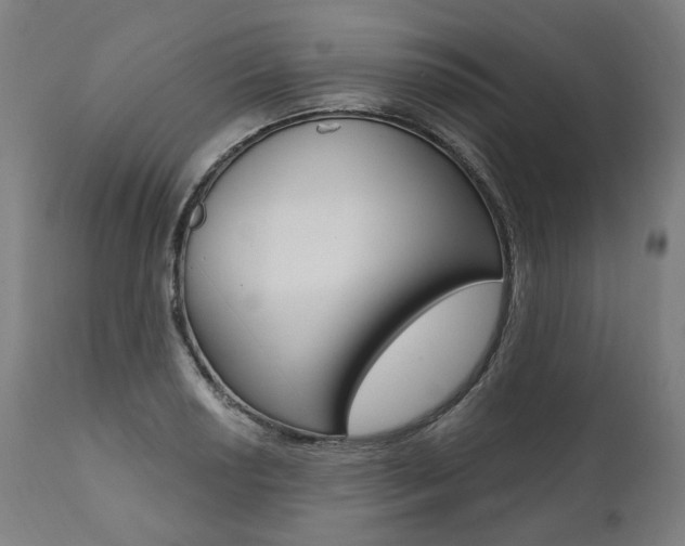 X0000112101034200908041108