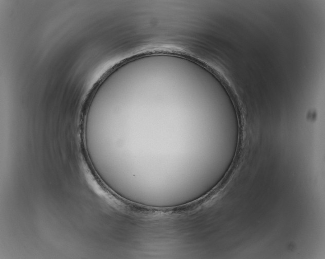 X0000112101038200908041108