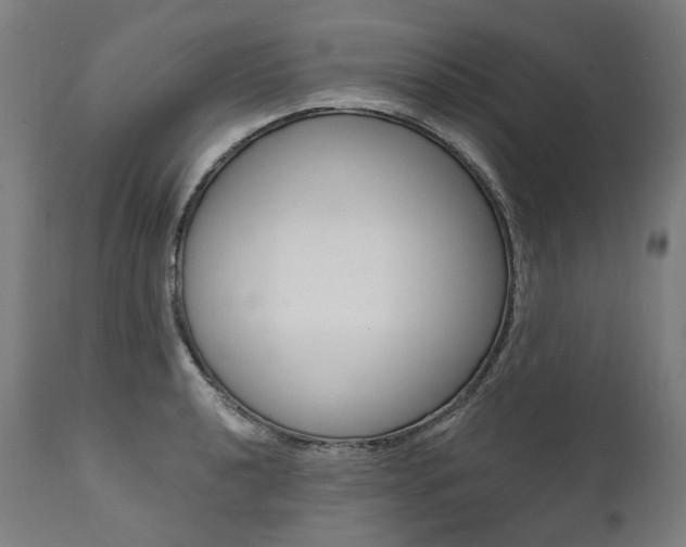 X0000112101040200908041108