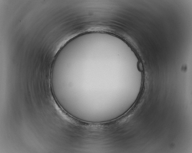 X0000112101041200908041108