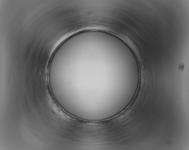 X0000112101044200908041108