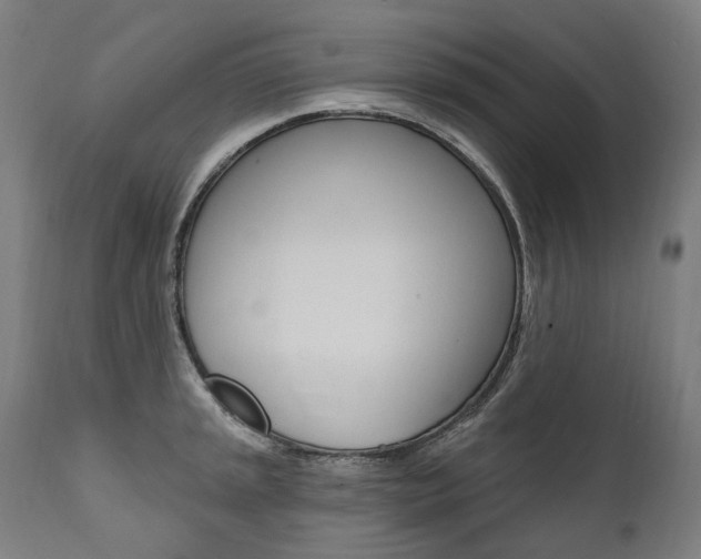 X0000112101045200908041108