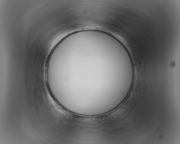 X0000112101047200908041108
