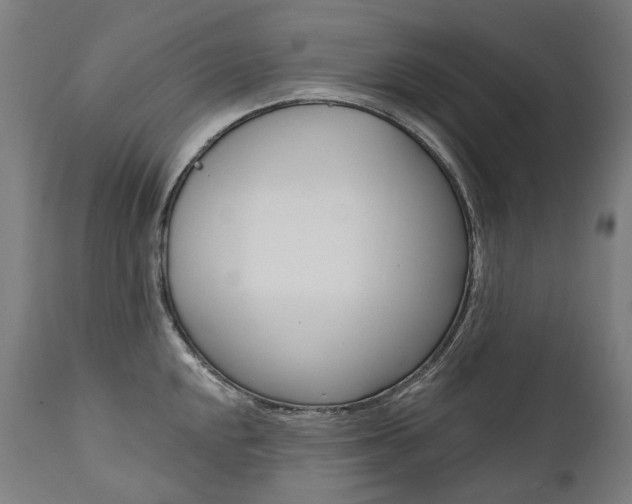 X0000112101048200908041108
