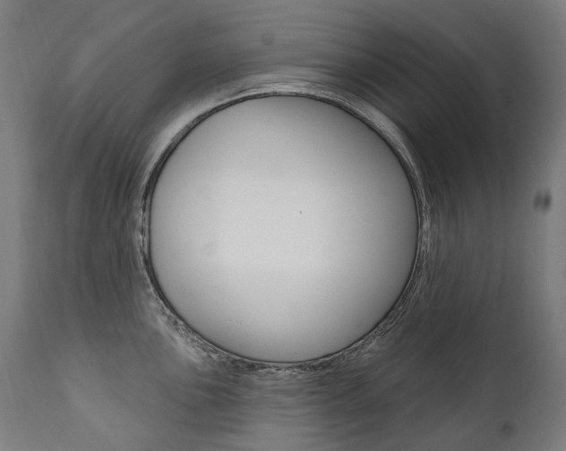 X0000112101051200908041108