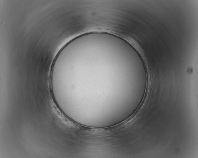 X0000112101052200908041108