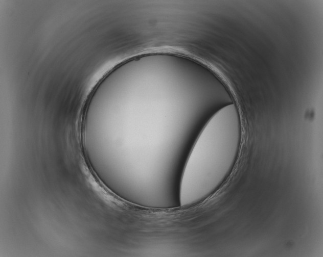 X0000112101054200908041108