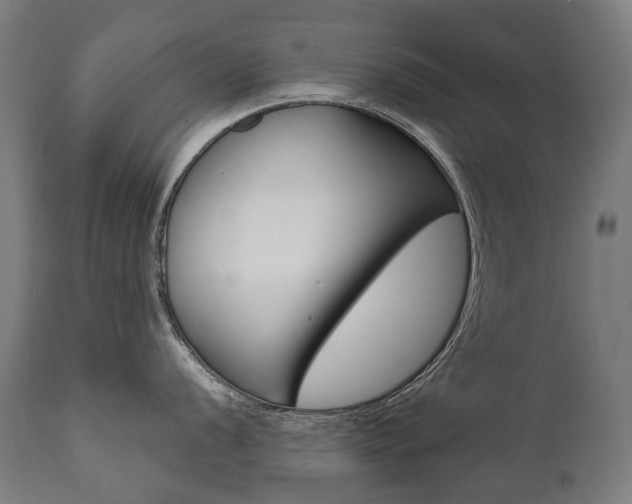 X0000112101056200908041108