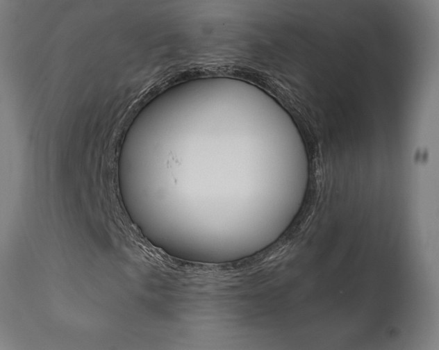X0000112101057200908041108