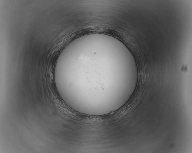 X0000112101058200908041107