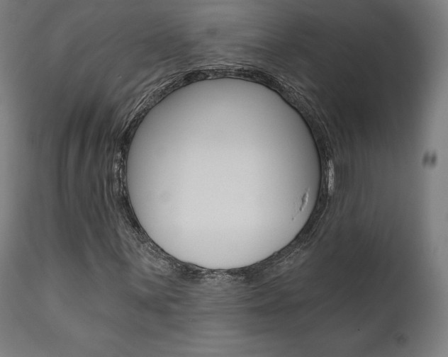 X0000112101059200908041107