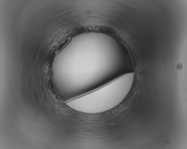 X0000112101060200908041107