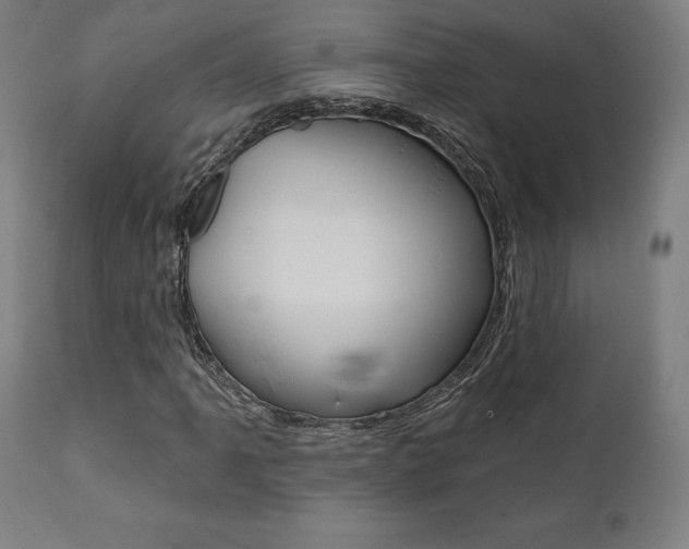 X0000112101061200908041107