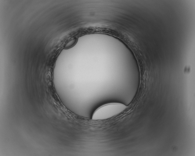 X0000112101062200908041107