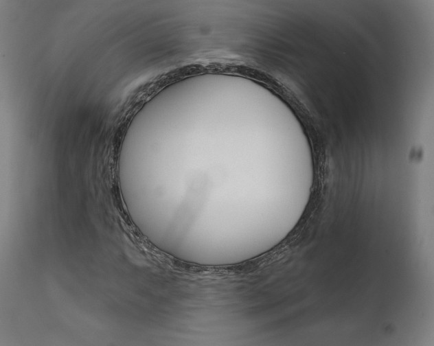 X0000112101063200908041107