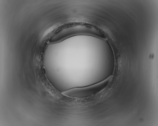 X0000112101064200908041107