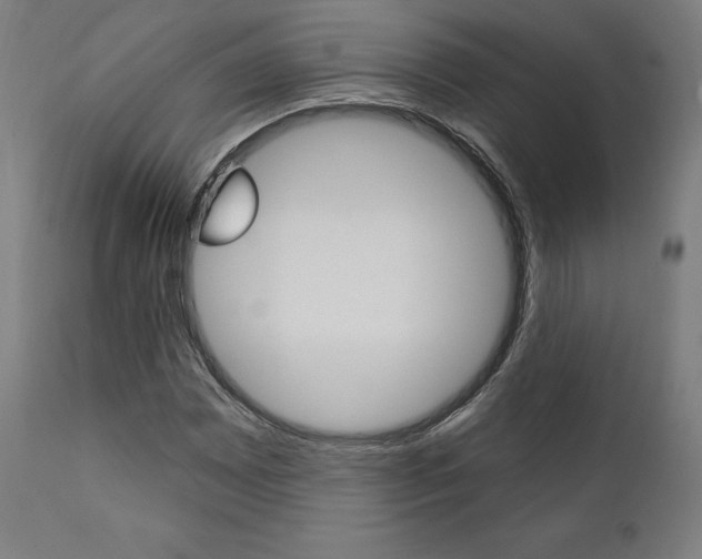 X0000112101065200908041107