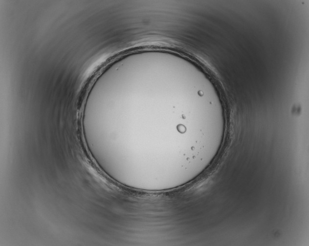 X0000112101067200908041107