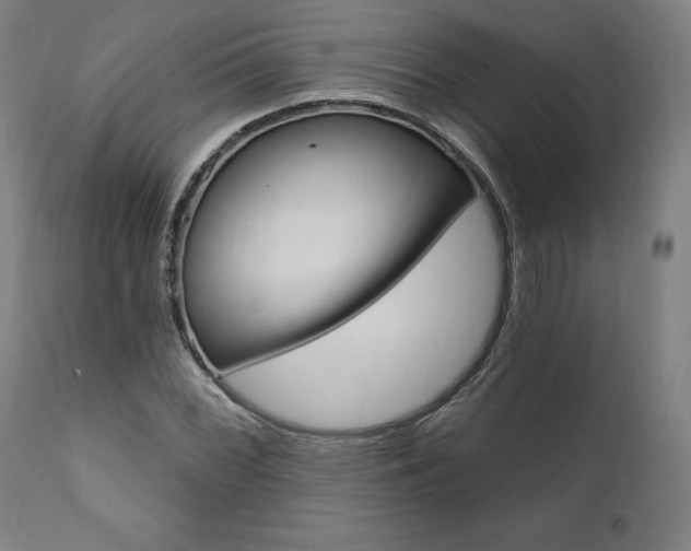 X0000112101068200908041107