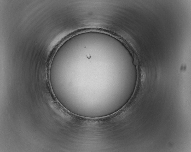 X0000112101069200908041107