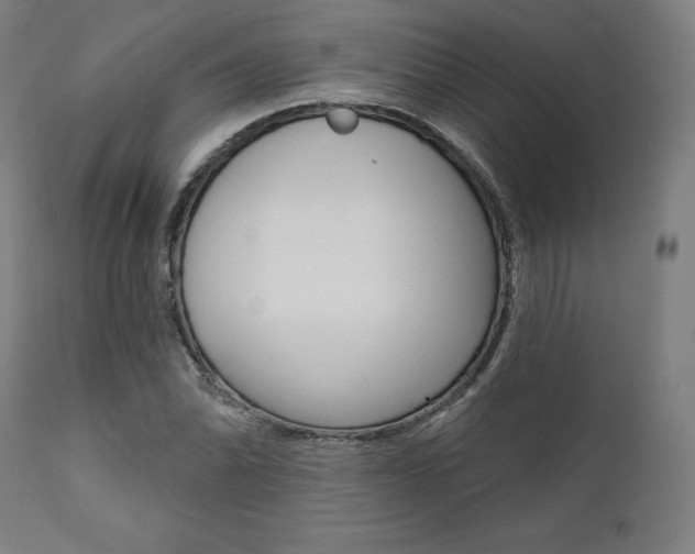 X0000112101070200908041107