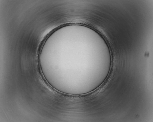X0000112101071200908041107