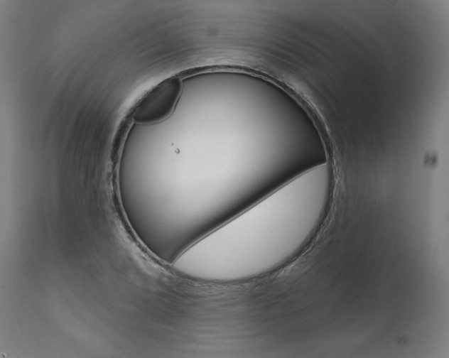X0000112101072200908041107