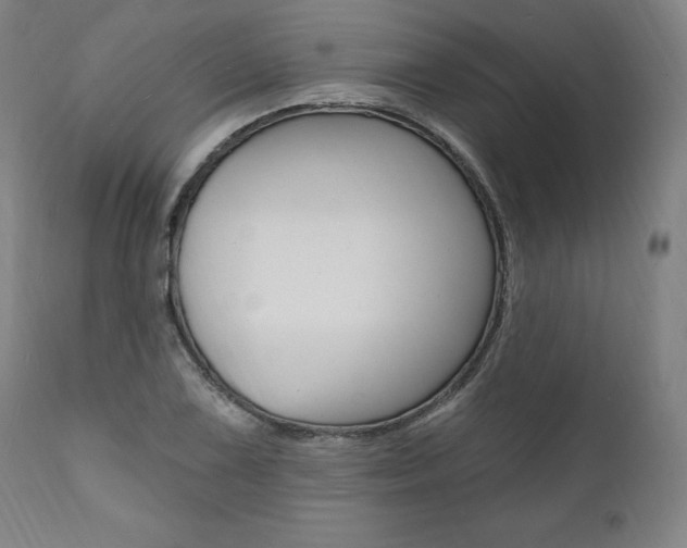 X0000112101075200908041107