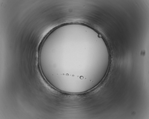 X0000112101079200908041107