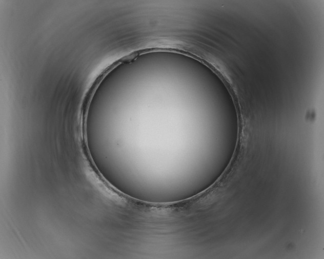 X0000112101080200908041107