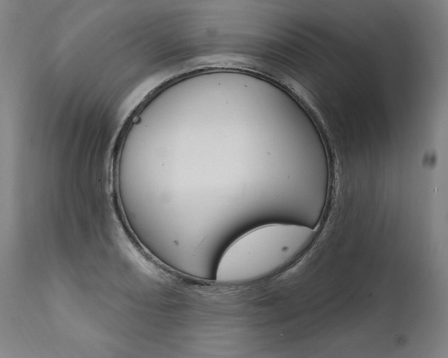 X0000112101082200908041107