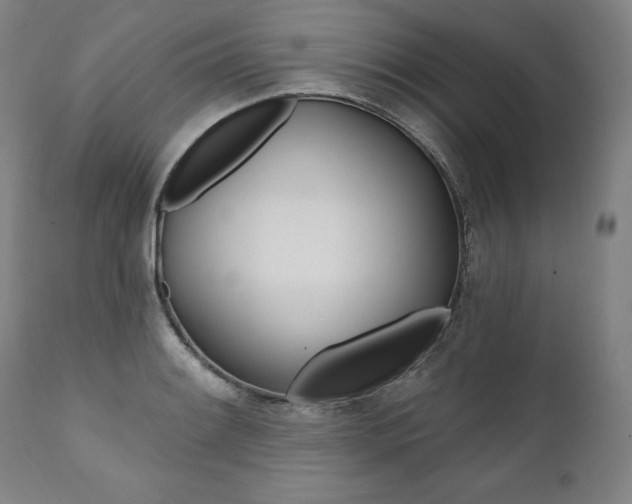 X0000112101084200908041107