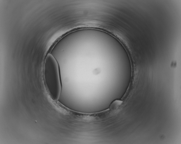 X0000112101085200908041107