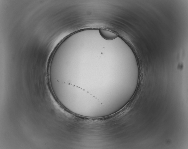 X0000112101087200908041107