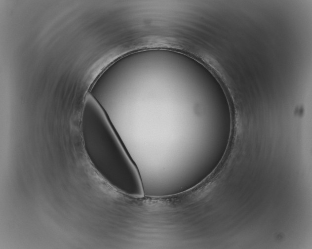 X0000112101089200908041107