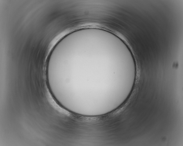 X0000112101090200908041107