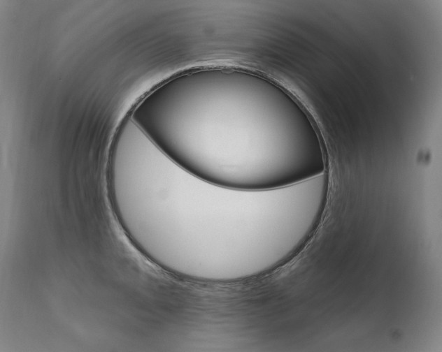 X0000112101093200908041107