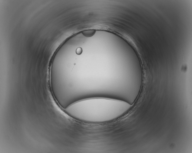 X0000112101095200908041107