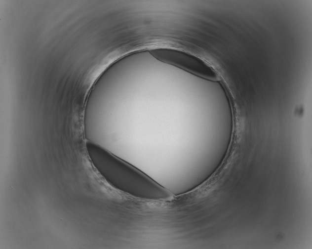 X0000112101097200908041107