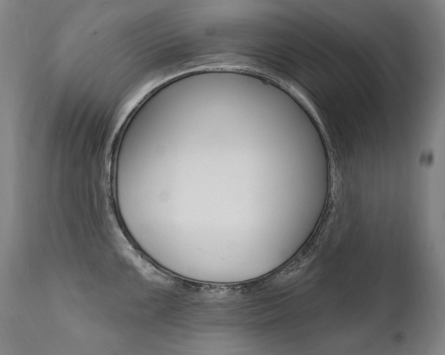 X0000112101099200908041107
